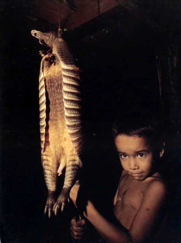 Hijos de pescador y cazador exhiben como trofeos las presas
de sus padres el día de la captura. En Cabo Manglar, sur de la costa
Pacífica, una raya es elevada mientras su cola se desprende por
un lado (izquierda). Entre los colonos del Guaviare, un
armadillo (derecha) es exhibido con la inocencia
que irradia en los ojos de la niñez.
Aldo Brando