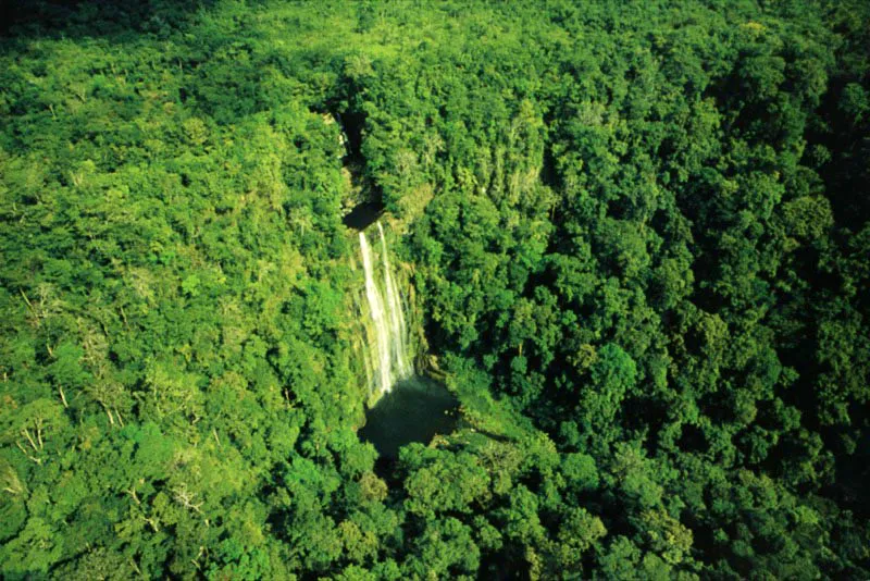 El esplendor vegetal
del Darién rodea la majestad de la cascada
de Tilupo, en el parque natural Los Catíos, que forma
parte del área de transición entre especies de las Américas. Una
zona prioritaria en la conservación de la diversidad biológica del planeta. Aldo Brando