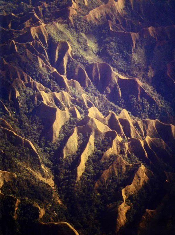 Con un bosque limitado al laberinto entre afiladas crestas, la Cuchilla
del Zorro se interpone en la frontera de los Andes con
los llanos del Casanare.
Aldo Brando