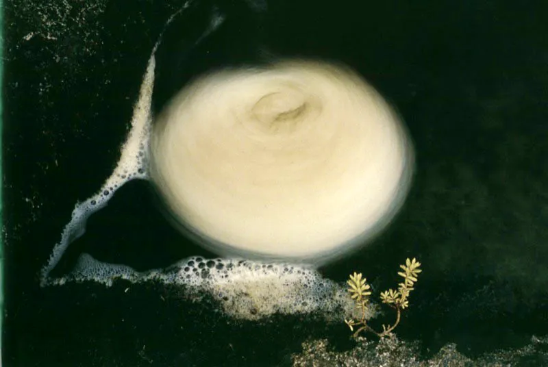 Un remolino de espumas naturales, destiladas de la vegetacin que 
rodea la quebrada, gira acorralado en la orilla rocosa del 
pramo de Ocet, Boyac. Aldo Brando