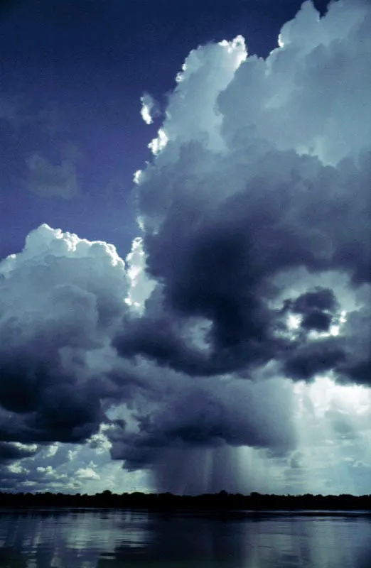 Lluvia en el Orinoco.