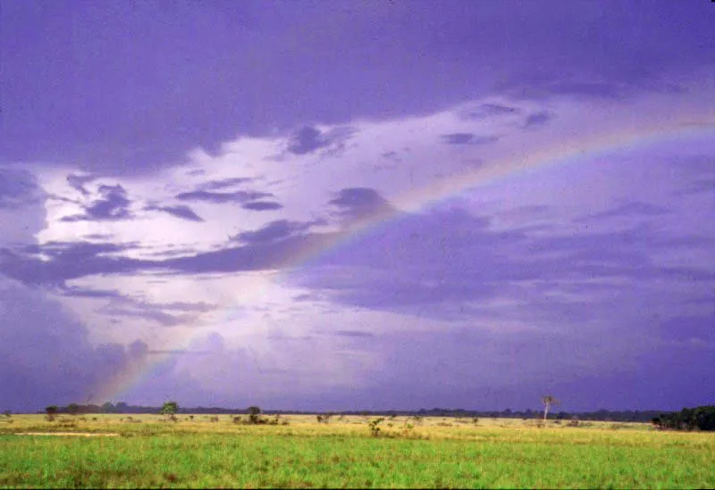 Llanos del Caparaparo. 