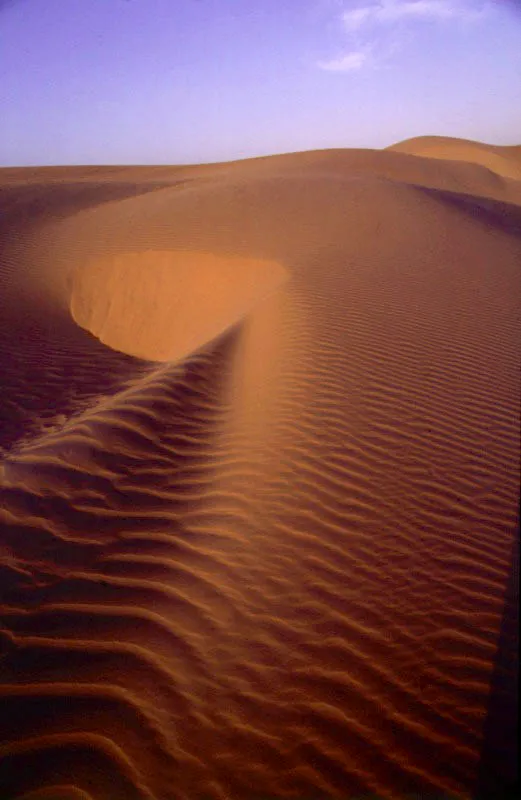 Desierto de la Pennsula de la alta Guajira. 