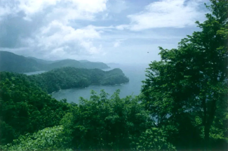 Isla de Tobago.  La vegetacin de las islas de Tobago, Granada y Trinidad, que hacen parte de la misma plataforma continental que integran las islas del Estado de Nueva Espaa, y que comparten con stas un conjunto de caractersticas comunes determinadas por el ambiente marino que las rodea y por el fenmeno denominado de surgen va costera, anunciaron a Humboldt que se encontraba a las puertas de Amrica. 