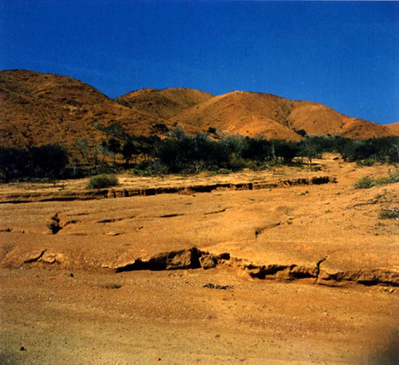 Paisaje en la península de Araya
Cuando Humboldt recorrió los alrededores de Cumaná encontró, como hoy, vegetación de bosque seco tropical y desierto propios de una región que se ubica entre las altas presiones calientes y secas del Atlántico subtropical, resultantes de la escasez de lluvias.