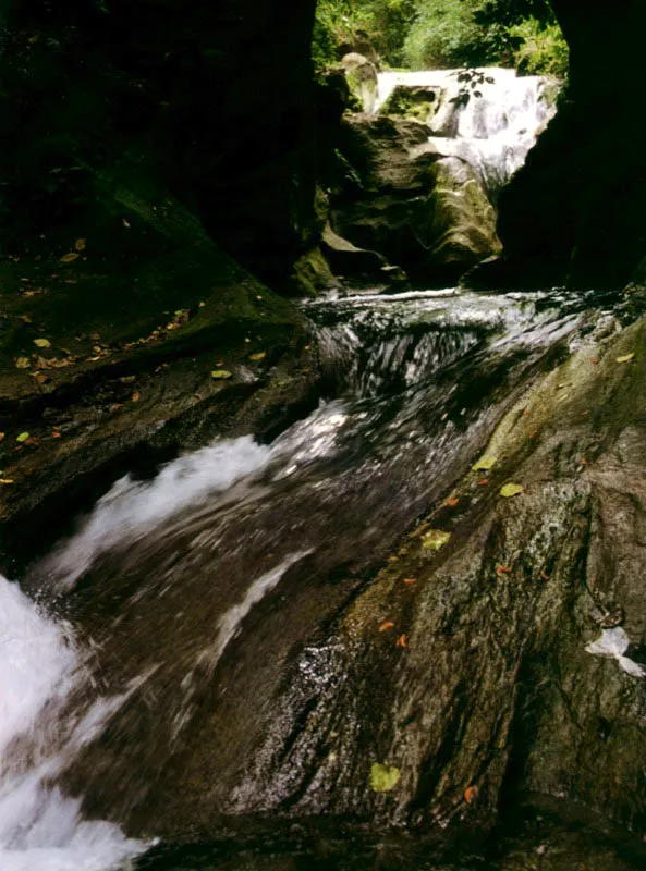Arroyo en las cercanías de Cumanacoa.
