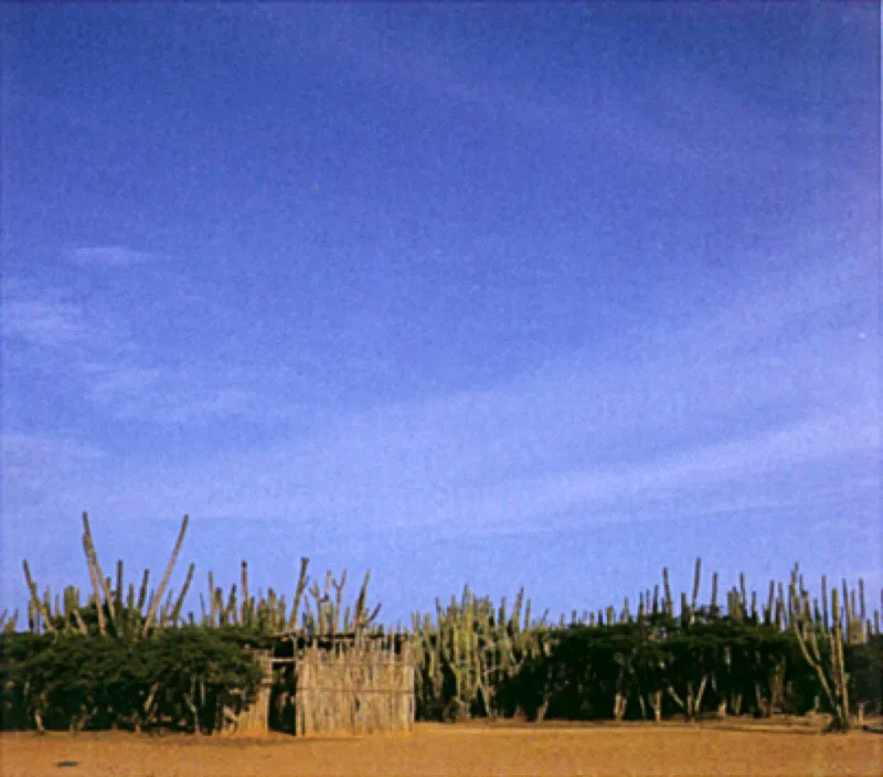 Vivienda campesina cerca de Coro.