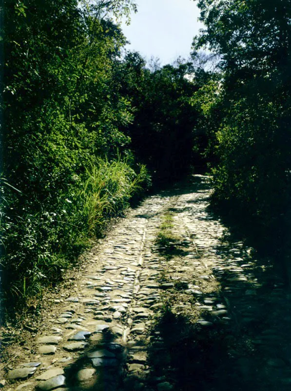 Antiguo camino empedrado de La Guaira a Caracas
A lo largo del antiguo camino que conduce de La Guaira a Caracas , Humboldt experimentó, por vez primera, el cambio de temperatura que tiene lugar en los países tropicales a medida que se asciende sobre el nivel del mar. A partir de este momento, comenzó a estructurar lo que sería su Tabla Física de los Andes y países vecinos, que publicó como la Geografía de las Plantas Equinocciales.