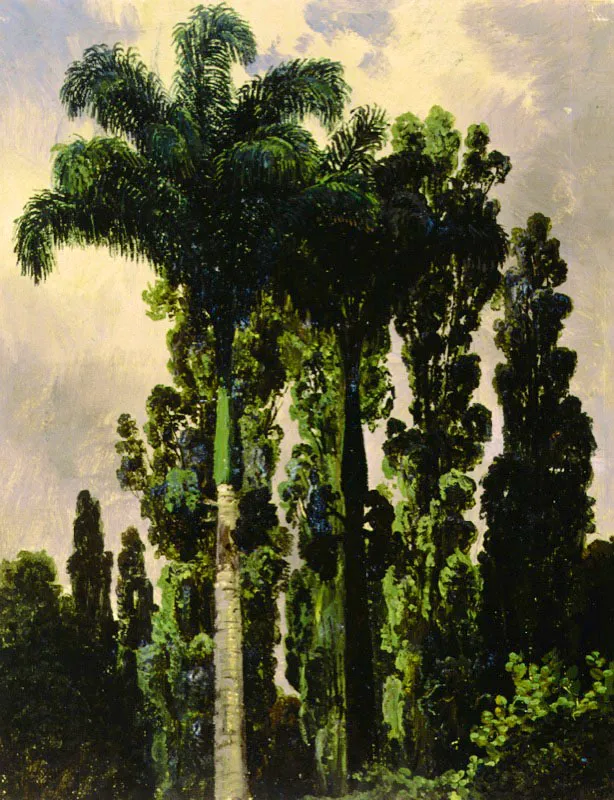 Palma real y otros árboles de Caracas
Ferdinand Bellerman, 1844-1845
Oleo sobre tela
24.1 x 19.2
Museos Estatales de Berlín.