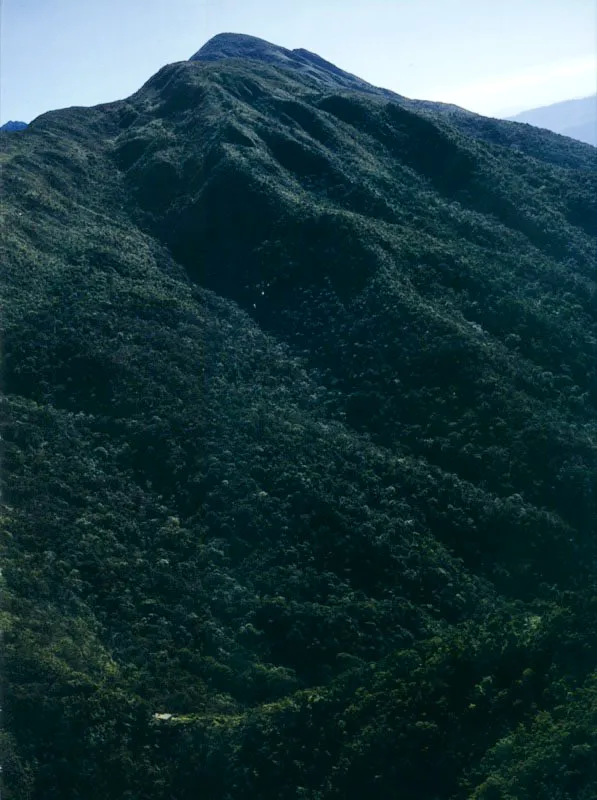Montes de Caracas.
La cadena de montañas que rodea la ciudad de Caracas, la protege de la influencia del clima costero y le proporciona una suave brisa durante las tardes.