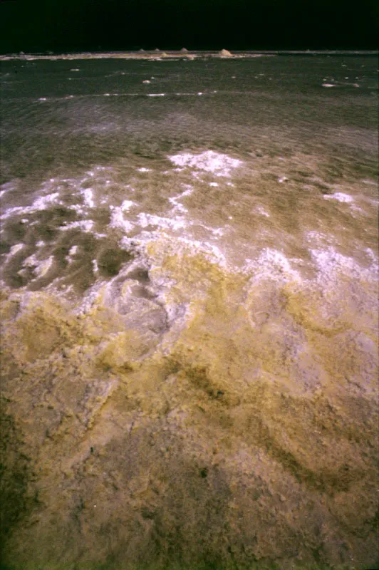 Explotaciones salinferas cercanas a Puerto Cabello.

La sequedad extrema del clima, las albuferas y pantanos marinos, abundantes en la regin, unidos a la elevada evaporacin en esta rea que se conoce como de formacin coralina, hicieron posible desde la poca de Humboldt la existencia de importantes salinas marinas.
 