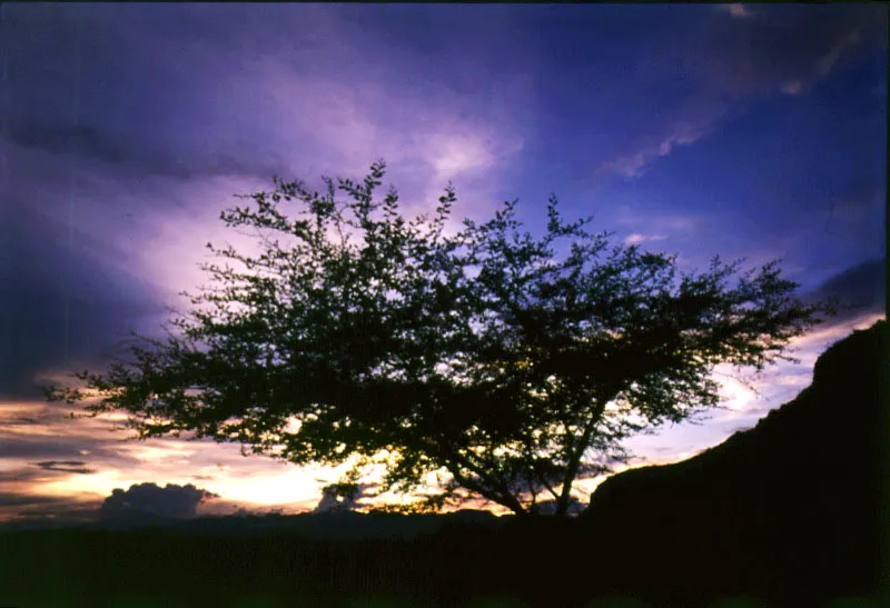 Atardecer cerca al ro de las Minas. 