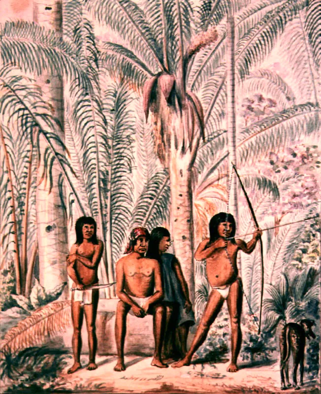 Indios Guahíbos
Manuel María Paz, 1856
Acuarela sobre papel
23.5 x 19.9 cm
Biblioteca Nacional, Bogotá
Más apropiado que hablar de “el Llano” es referirse a “los Llanos”, dada la variedad de las características geológicas y topográficas y la diversidad de la vegetación y de la fauna que los pueblan. Por ello, a pesar de su espacio monótono, la geografía llanera exhibe una impresionante variedad de tipos regionales y locales relacionada con las condiciones particulares de suelo y clima.
