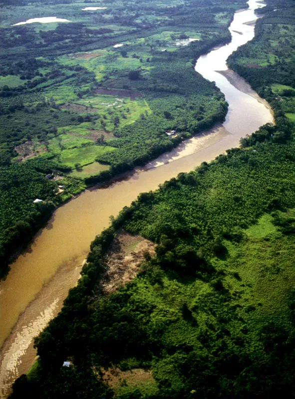 Río Arauca.
La pendiente del río Arauca es tan suave que cuando sube el nivel de las aguas del Orinoco se devuelve y se mezcla con aquellas que permanecen sobre la sabana, formando lagunas y madreviejas.