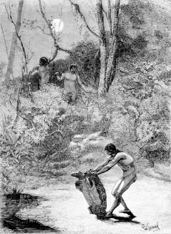 Indios Sunos cazando tortugas de agua dulce.
Dibujo de P. Signal
15.9 x 12 cm
Tomado de América Pintoresca, Carlos Viener. Barcelona,1884
Biblioteca Nacional, Bogotá.