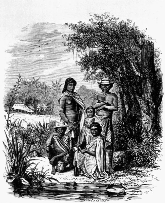 Grupo de indios del Caribe.
Dibujo de R. Bolet
Grabado de Paterson
24 x 15.9 cm
Tomado de James Mudie Spence. Londres, 1878