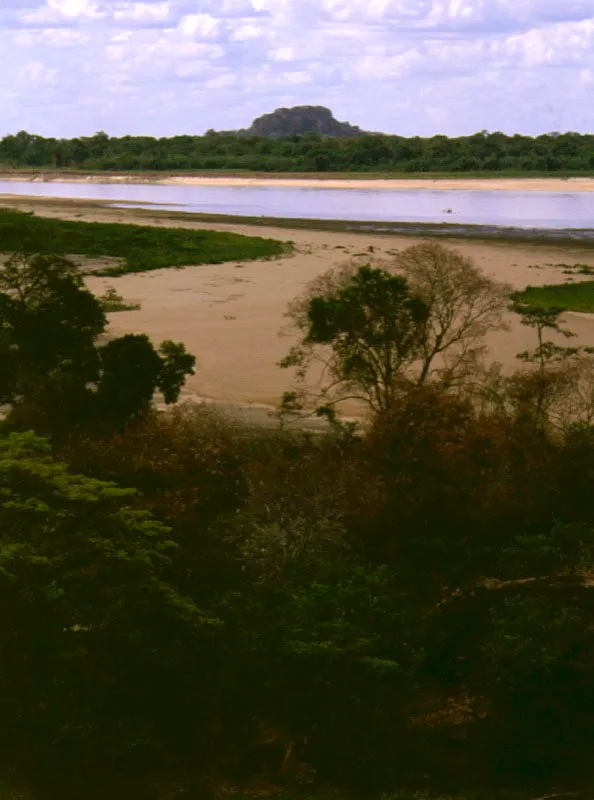Desembocadura del río Meta en el río Orinoco.