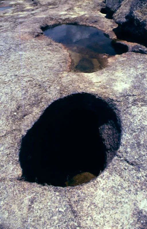 Agujero en una roca del río Orinoco.
En uno de estos agujeros, labrados por los granos de arena que giran incesantemente en los remolinos, Humboldt preparó una bebida con limones, azúcar y frutos de pasionaria Passiflora sp., para refrescar al padre Zea, quien había sido atacado por un acceso de fiebres tercianas.