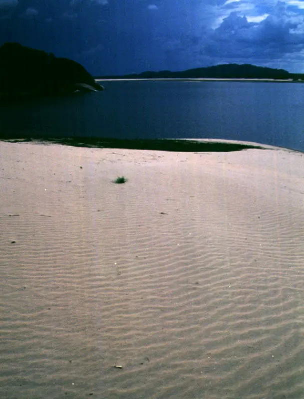 Río Tomo.
El río Tomo desemboca en el Orinoco poco antes de la zona de los raudales. Allí se detuvo Humboldt para aprovisionarse de alimentos y tomar un merecido descanso.