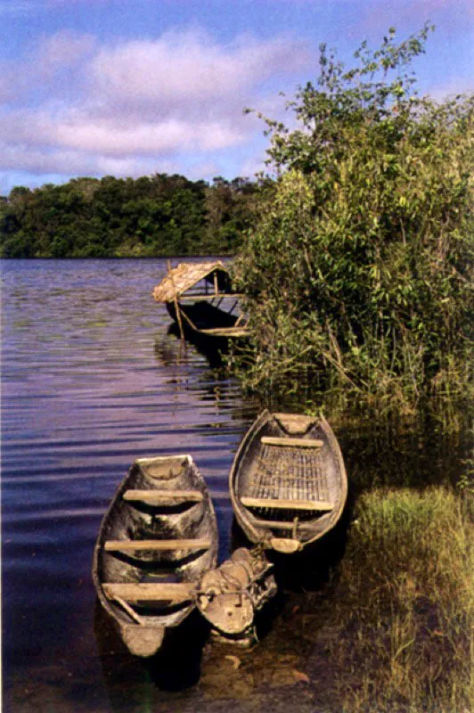 Canoas a orillas del río Atabapo