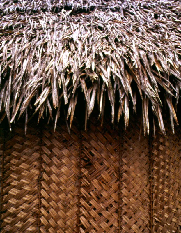 Vivienda indígena en el Orinoco. Los indios del alto Orinoco utilizan, desde tiempos inmemoriales, las fibras de las palmas y las ciclantáceas para tejer sus viviendas.