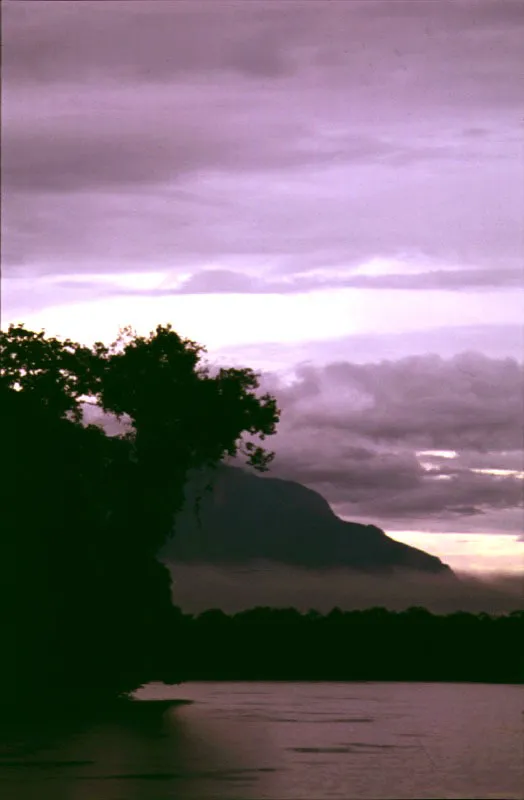Tepuy Duida.