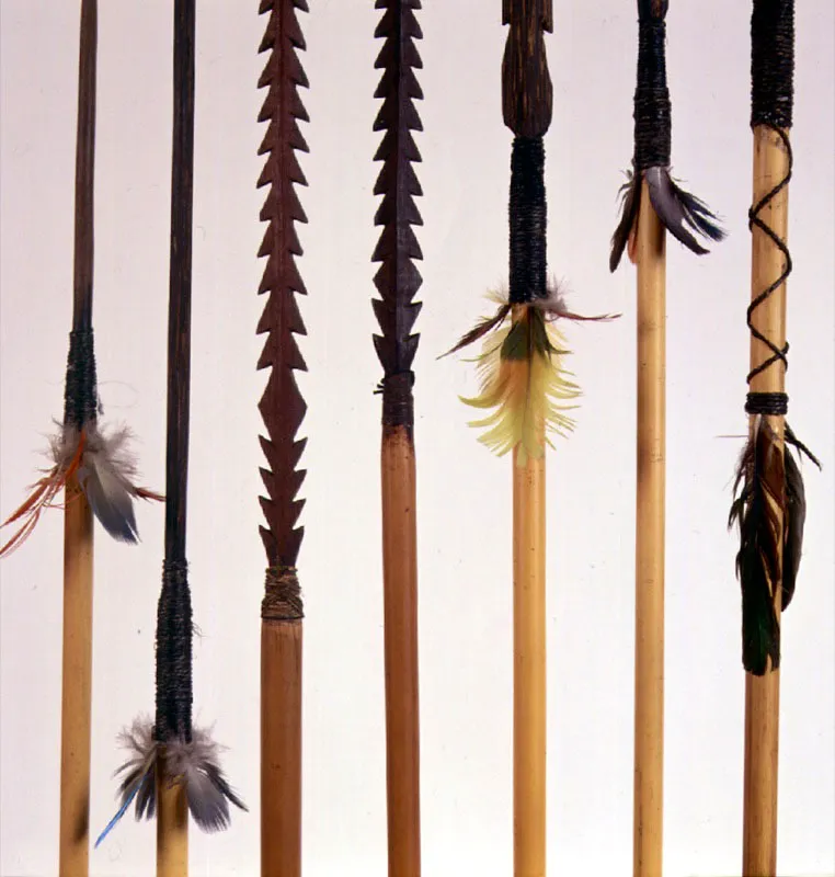 Flechas amazónicas
Humboldt tuvo la oportunidad de participar en una ceremonia de preparación de curare, el mortífero veneno que utilizaban los indios del Orinoco para impregnar las puntas de sus flechas y de los dardos de sus cerbatanas.
El curare se prepara a partir del “bejuco de mavacure” y exige un largo proceso en el que se funde la magia del “amo del curare” con el “espíritu de las plantas”.