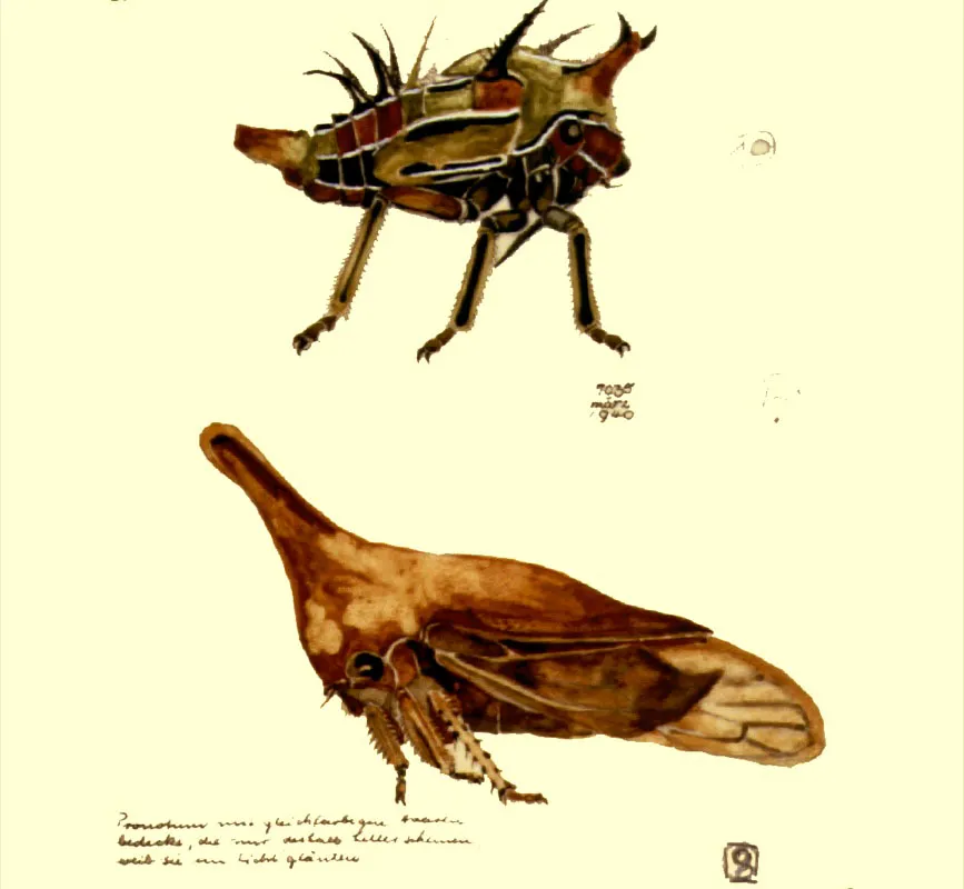 Cuatro membrcidos colombianos, (detalle)
Acuarelas
Dcada del 40
27 x 22 cm.
 