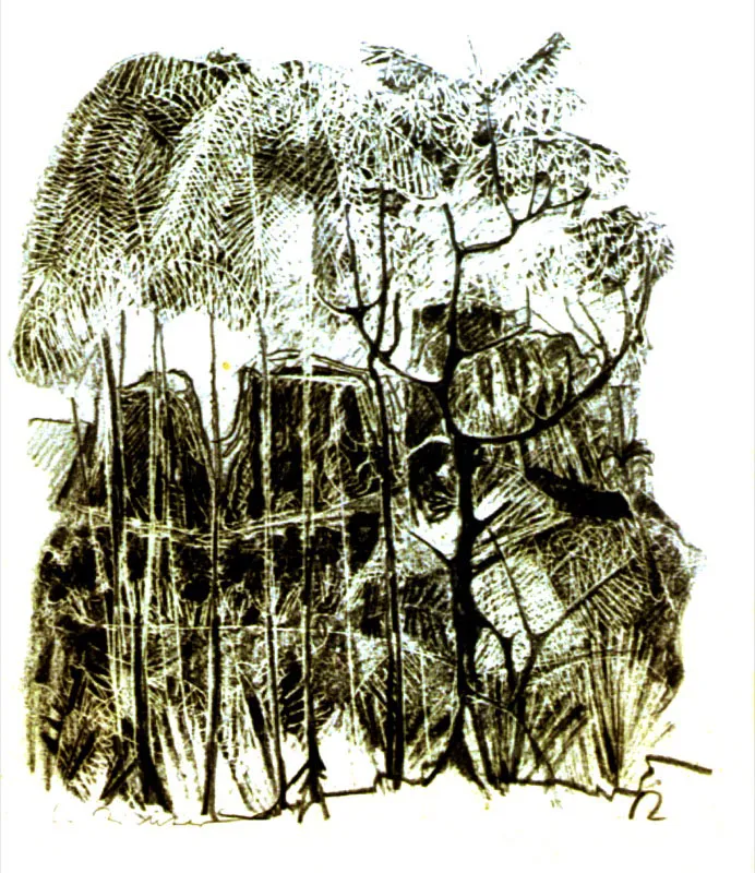 Sierra de La Macarena. Dibujo. 1951. 