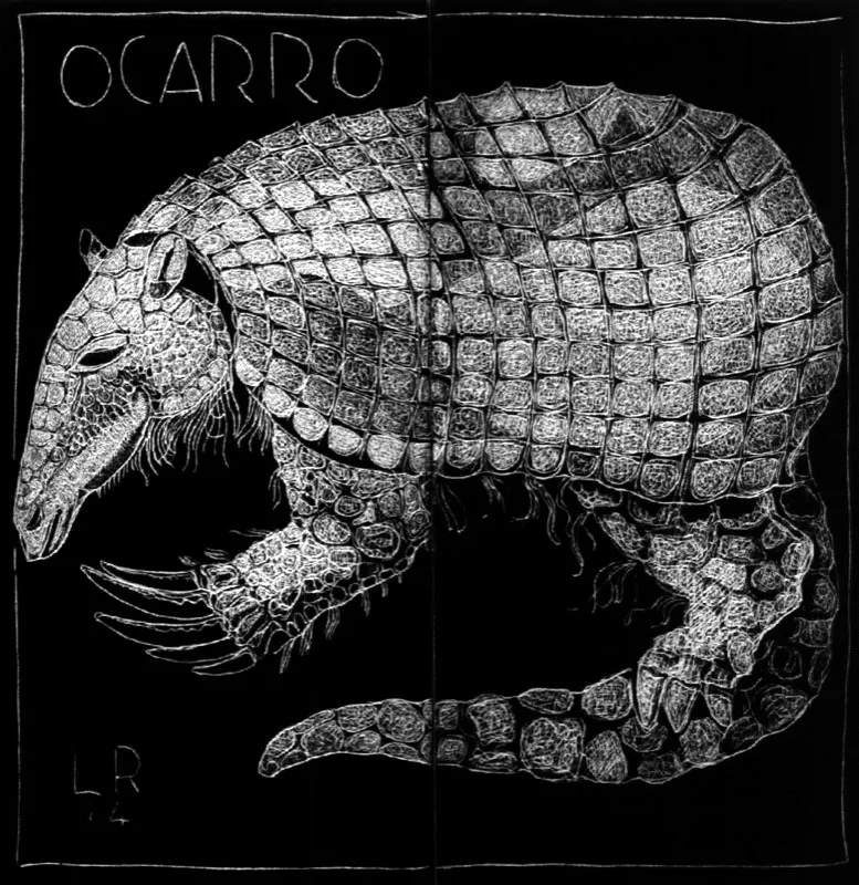 Armadillo gigante Ocaro
Grabado sobre 
baldosn cermico
1964
22 x 22 cm. 