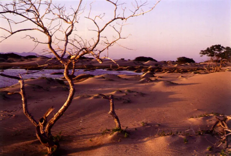 Puerto Lpez. Santiago Harker