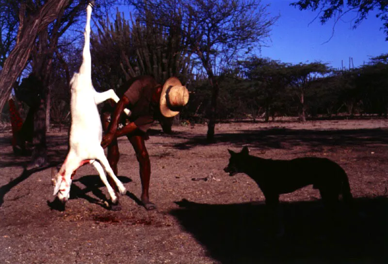 Mulakimana. Santiago Harker