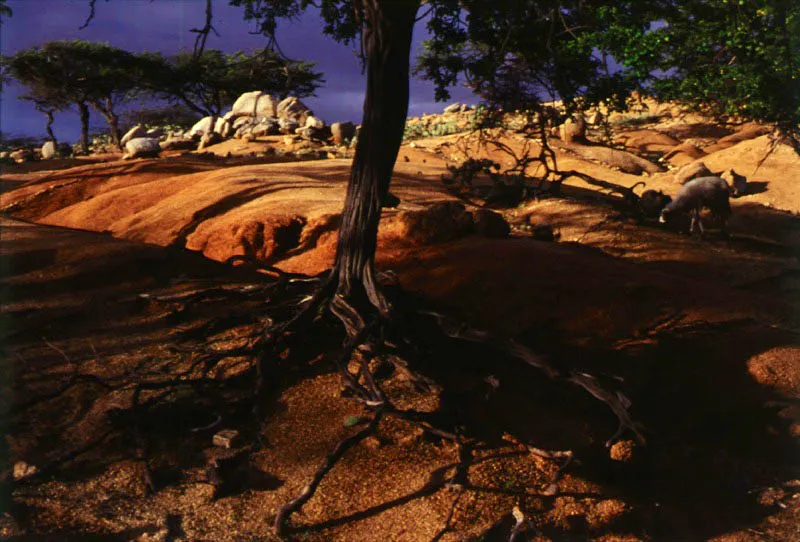 Serranía del Macuira. Santiago Harker