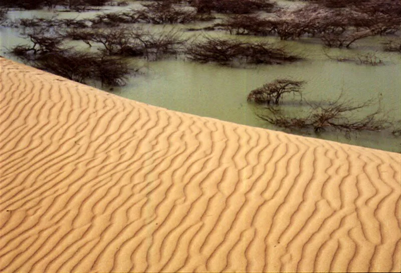 Puerto Estrella. Santiago Harker