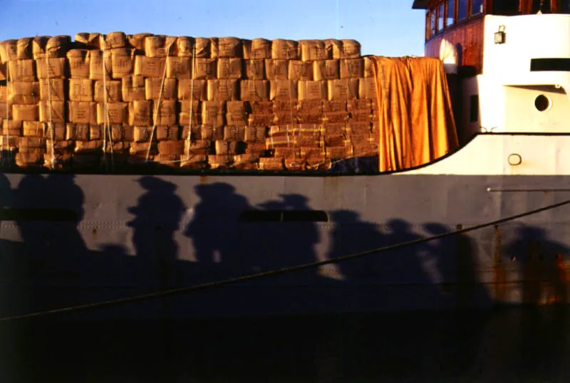 Portete. Santiago Harker