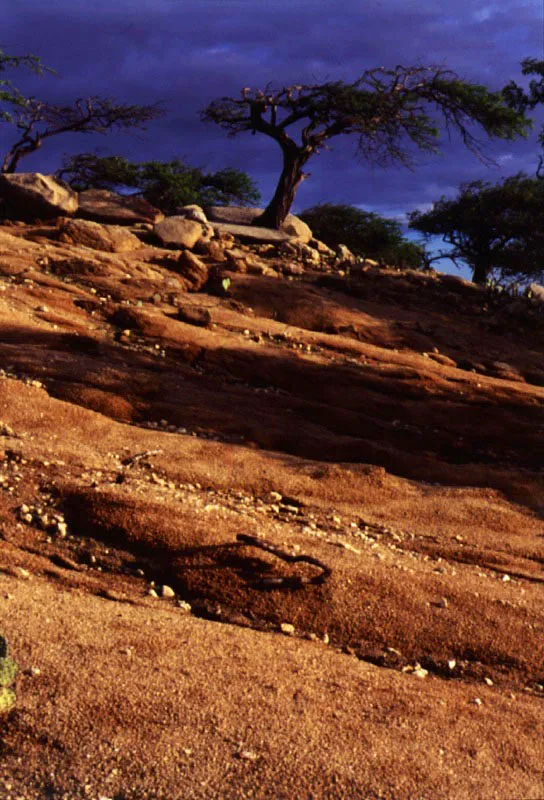 Serranía del Macuira.
Santiago Harker