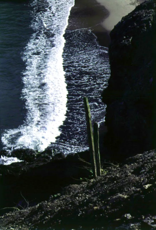 Cabo de la Vela. Santiago Harker