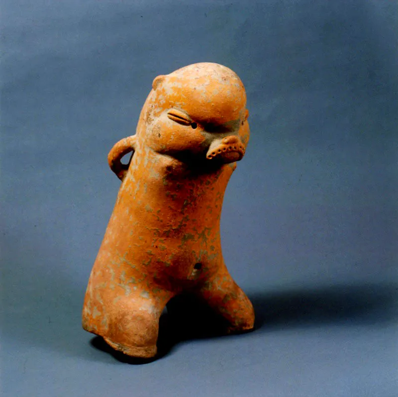 Figura antropozoomorfa. Ranchería.
32 x 21 cm.