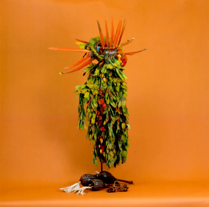 Tocado de plumas de los indígenas
del Amazonas.