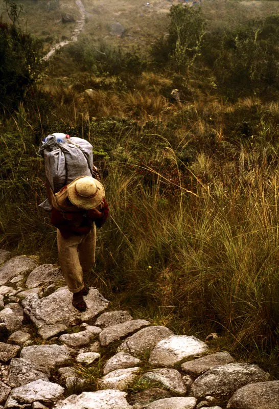 Camino inca hacia Machu Picchu, Perú. Jeremy Horner