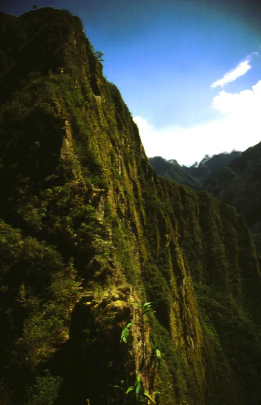 Huayna Picchu desde Machu Picchu, Per. Jeremy Horner