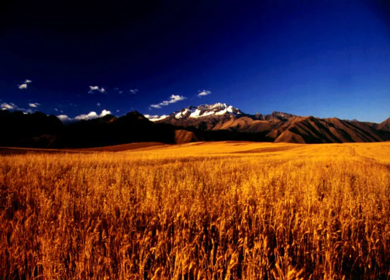 Valle Sagrado, Per. Jeremy Horner