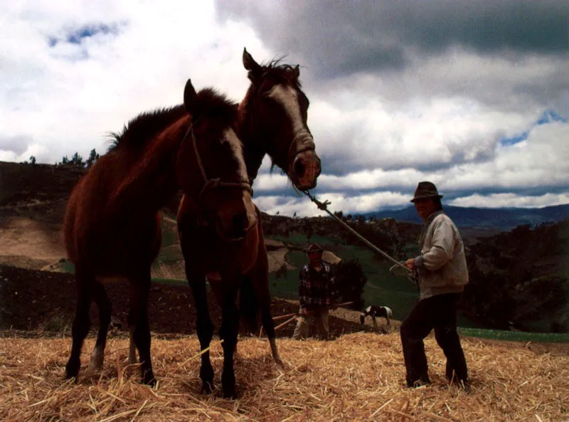Cañar, Ecuador. Jeremy Horner