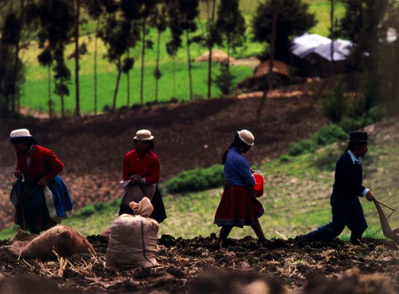 Cañar, Ecuador. Jeremy Horner