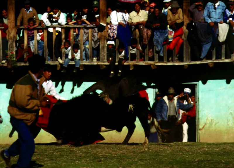 Yawar Fiesta. Quotabambas, Perú. Jeremy Horner