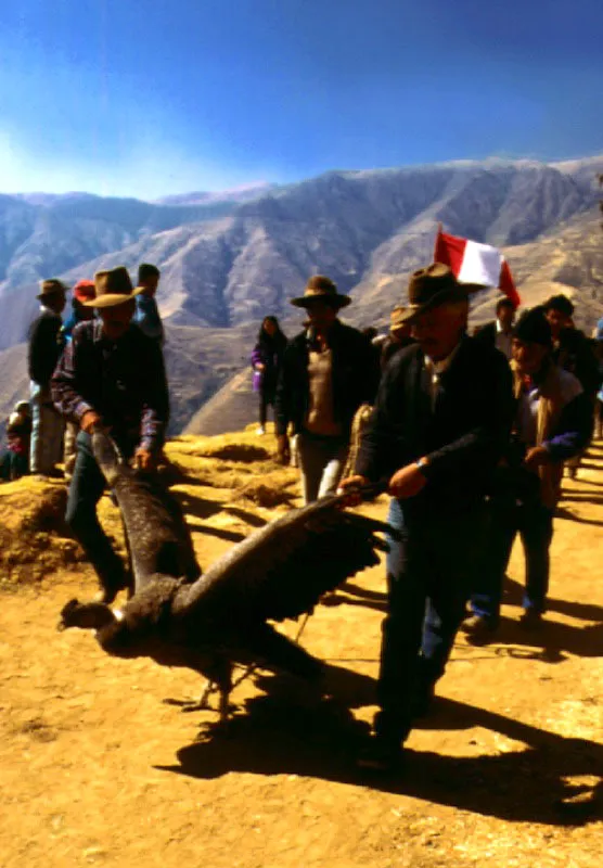 Yawar Fiesta. Quotabambas, Perú. Jeremy Horner