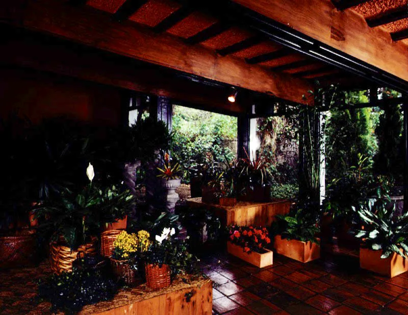 Plantamos, Bogotá