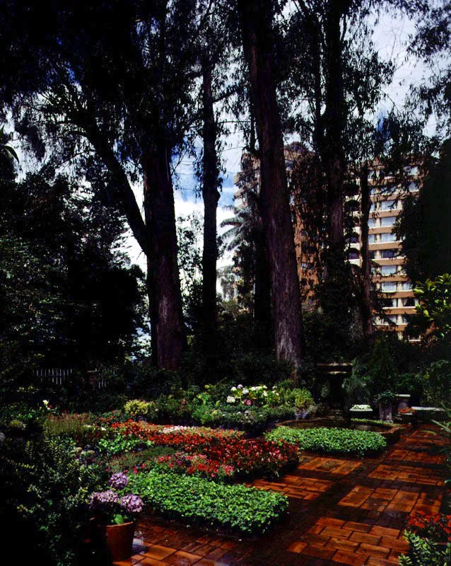 Plantamos, Bogotá
