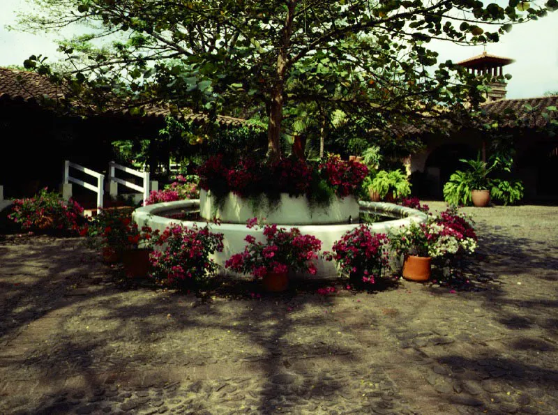Vivero Las Mañanitas, Cali