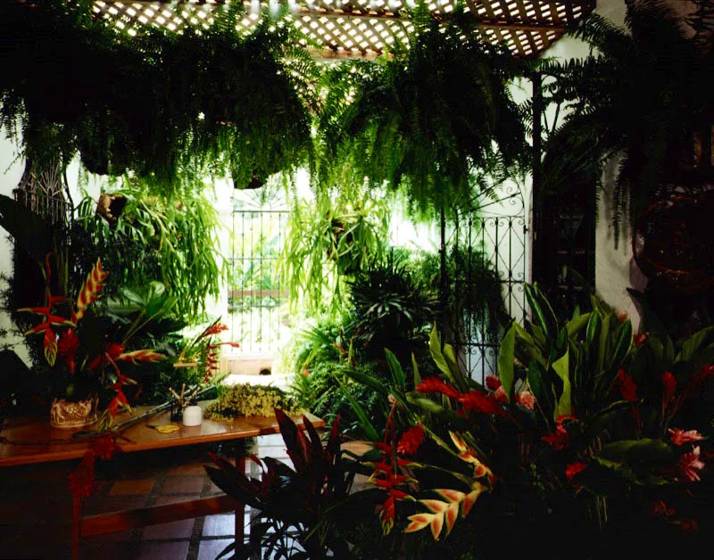 Florandina, Barranquilla